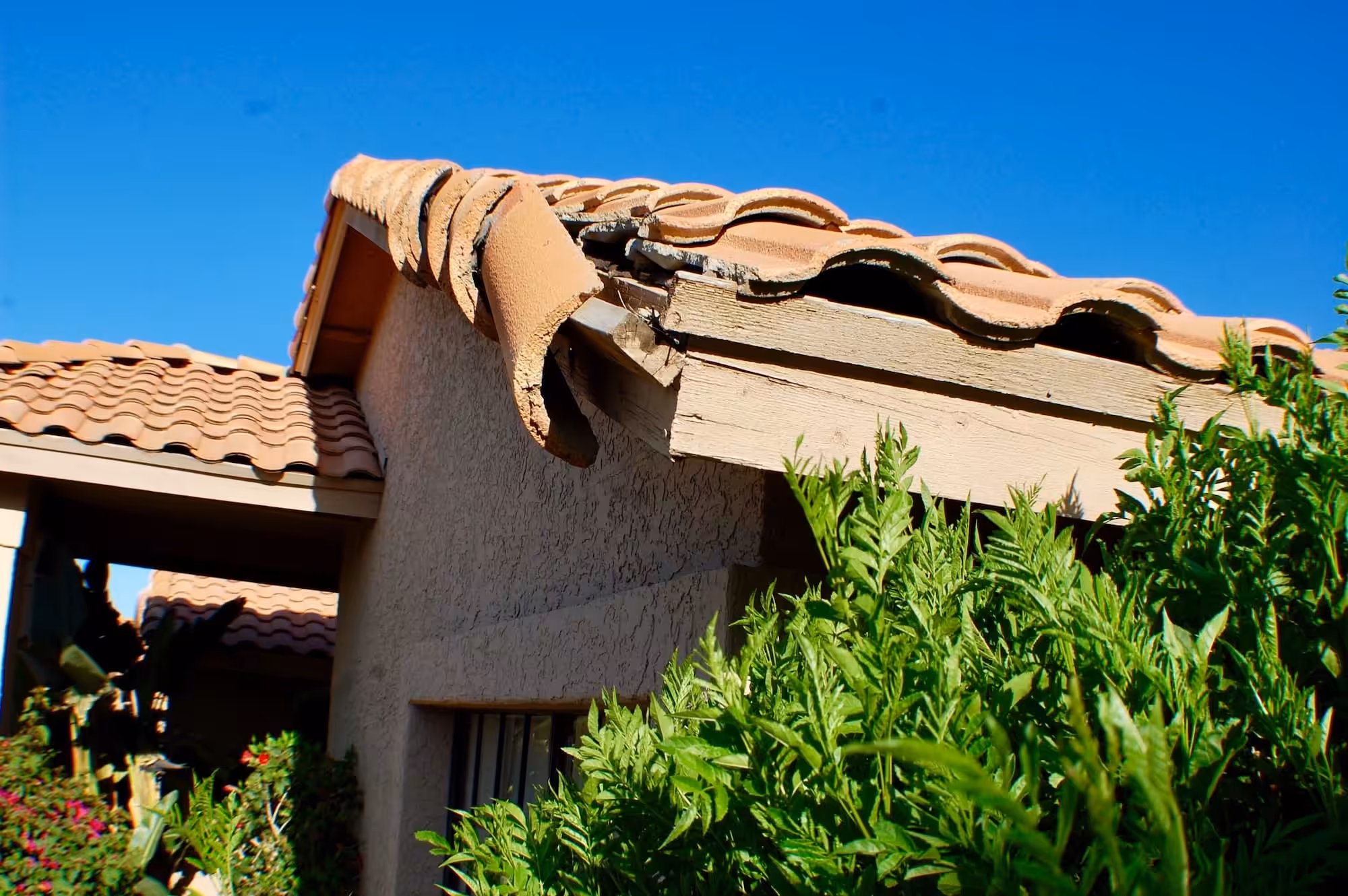 Damaged roof tile