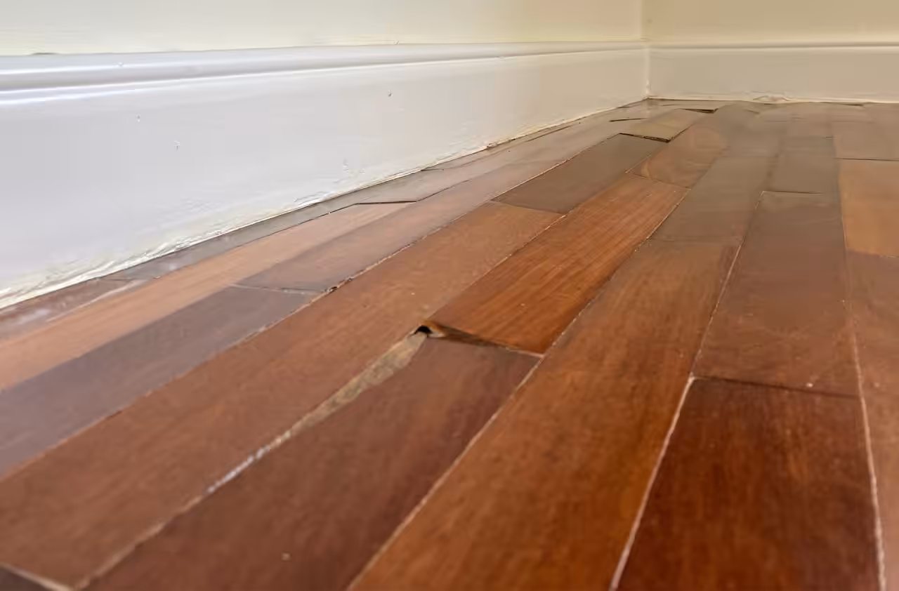 Water Damaged Hardwood Floor Repair: What to Know Before Replacing Floors